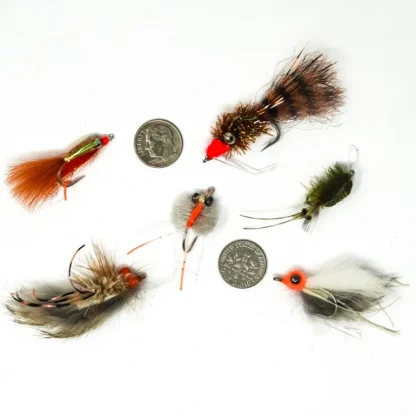 SoCal Surf Fly 6 Pack - Your Premium Fishing Gear Store Rods Lines Baits Accessories* Fly Fishing
