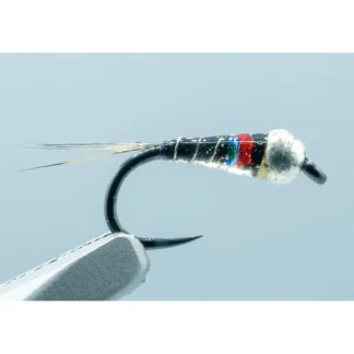Spanish Perdigon Rodrigues - Black - #16 - Your Premium Fishing Gear Store Rods Lines Baits Accessories* Fly Fishing
