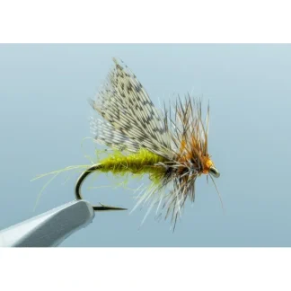 Spent Partridge Caddis Olive #16 - Your Premium Fishing Gear Store Rods Lines Baits Accessories* Fly Fishing