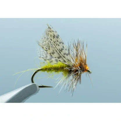 Spent Partridge Caddis Olive #16 - Your Premium Fishing Gear Store Rods Lines Baits Accessories* Fly Fishing