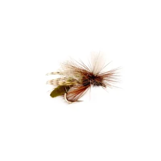 Spotlight Caddis Emerger Olive - Your Premium Fishing Gear Store Rods Lines Baits Accessories* Fly Fishing