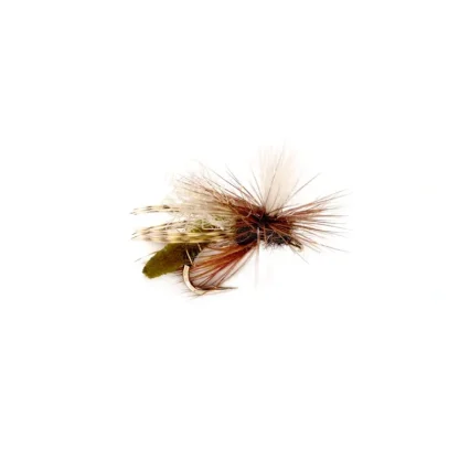 Spotlight Caddis Emerger Olive - Your Premium Fishing Gear Store Rods Lines Baits Accessories* Fly Fishing