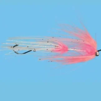 Squidro - Your Premium Fishing Gear Store Rods Lines Baits Accessories* Fly Fishing