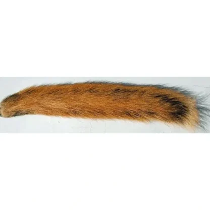 Squirrel Tails - Your Premium Fishing Gear Store Rods Lines Baits Accessories* Fly Fishing