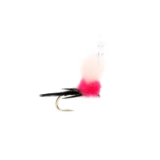 Steak N Eggs Cerise - Your Premium Fishing Gear Store Rods Lines Baits Accessories* Fly Fishing