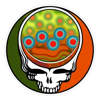 Steal Your Face Brook Trout 4" - Grateful - Your Premium Fishing Gear Store Rods Lines Baits Accessories* Fly Fishing