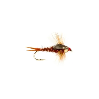 Stonefly Nymph Brown Tungsten Beadhead - Your Premium Fishing Gear Store Rods Lines Baits Accessories* Fly Fishing