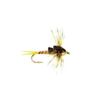Stonefly Nymph Yellow Tungsten Beadhead - Your Premium Fishing Gear Store Rods Lines Baits Accessories* Fly Fishing