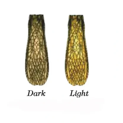Stonefly Wing - Your Premium Fishing Gear Store Rods Lines Baits Accessories* Fly Fishing