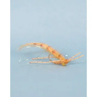 Tailer's Beware - Your Premium Fishing Gear Store Rods Lines Baits Accessories* Shop All