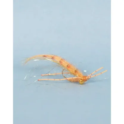 Tailer's Beware - Your Premium Fishing Gear Store Rods Lines Baits Accessories* Shop All