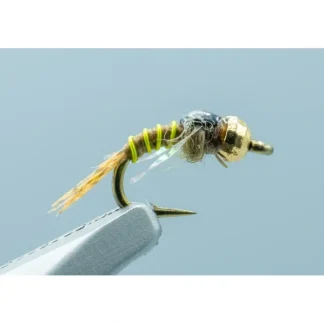 Tailwater Tiny #18 - Your Premium Fishing Gear Store Rods Lines Baits Accessories* Shop All