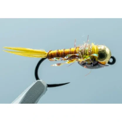 TBH My Gal Sal #16 - Your Premium Fishing Gear Store Rods Lines Baits Accessories* Shop All