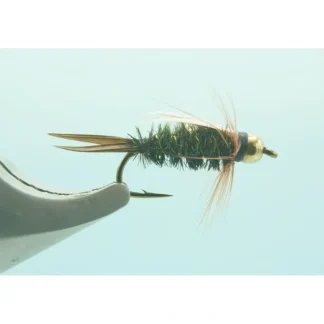 TBH Prince Nymph - Your Premium Fishing Gear Store Rods Lines Baits Accessories* Shop All