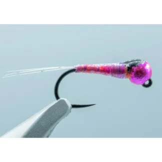 TBH Rain Drop Purple Bead #16 2.8mm - Your Premium Fishing Gear Store Rods Lines Baits Accessories* Shop All