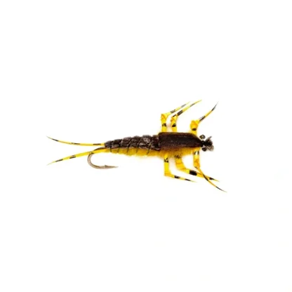 Ted's Golden Stone - Your Premium Fishing Gear Store Rods Lines Baits Accessories^ Store