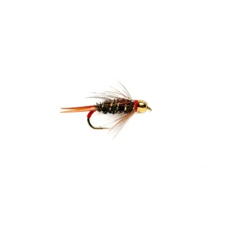 The Fly FKA Prince - Your Premium Fishing Gear Store Rods Lines Baits Accessories^ Shop