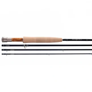 Thomas and Thomas Paradigm Fly Rod - Your Premium Fishing Gear Store Rods Lines Baits Accessories^ Best Sale