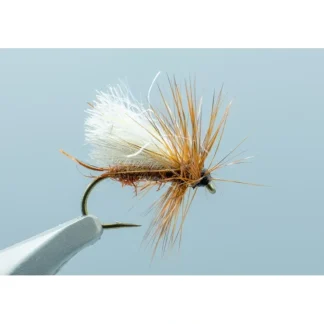 Tightline Caddis Brown #14 - Your Premium Fishing Gear Store Rods Lines Baits Accessories^ Hot