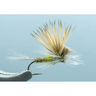Tilt Wing Dun BWO #18 - Your Premium Fishing Gear Store Rods Lines Baits Accessories^ Shop