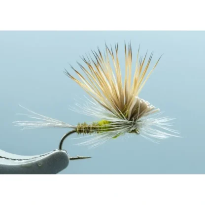 Tilt Wing Dun BWO #18 - Your Premium Fishing Gear Store Rods Lines Baits Accessories^ Shop