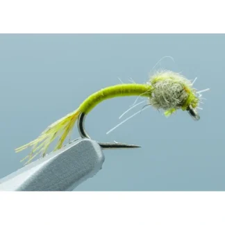 WD 40 Olive #18 - Your Premium Fishing Gear Store Rods Lines Baits Accessories^ Best