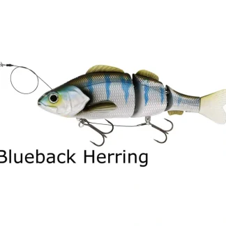 Westin Percy the Perch Jointed (HL) Inline Hard Lure - Your Premium Fishing Gear Store Rods Lines Baits Accessories^ Shop