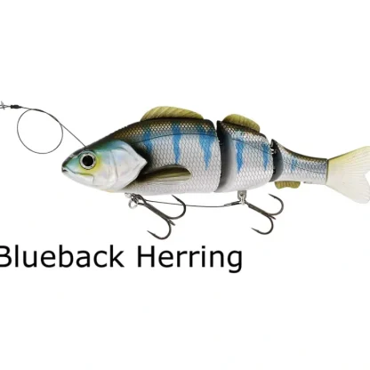 Westin Percy the Perch Jointed (HL) Inline Hard Lure - Your Premium Fishing Gear Store Rods Lines Baits Accessories^ Shop