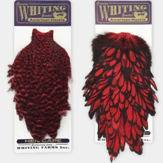 Whiting American Hen Saddle - Your Premium Fishing Gear Store Rods Lines Baits Accessories^ Shop