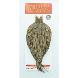 Whiting Cape Bronze - Your Premium Fishing Gear Store Rods Lines Baits Accessories^ Best