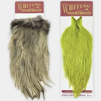 Whiting Coq de Leon Bronze Saddle - Your Premium Fishing Gear Store Rods Lines Baits Accessories^ Cheap