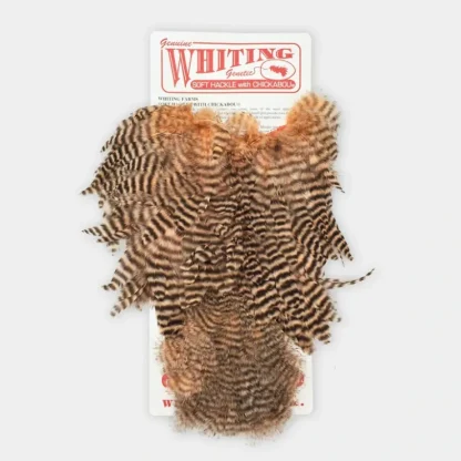 Whiting Rooster SH/C - Your Premium Fishing Gear Store Rods Lines Baits Accessories^ Clearance