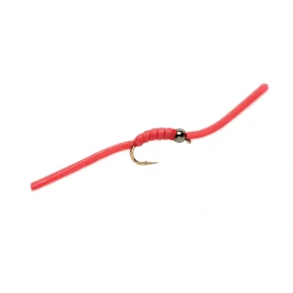 Wiggly Worm Tungsten Beadhead - Your Premium Fishing Gear Store Rods Lines Baits Accessories^ Flash Sale