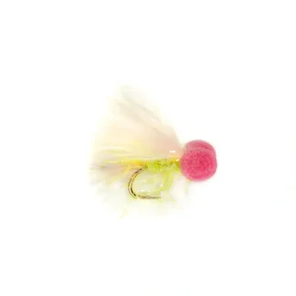 Woofta - Your Premium Fishing Gear Store Rods Lines Baits Accessories^ Hot