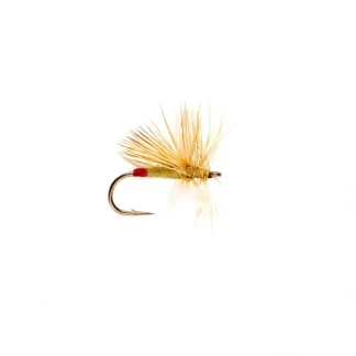 Yellow Sally - Your Premium Fishing Gear Store Rods Lines Baits Accessories^ Flash Sale